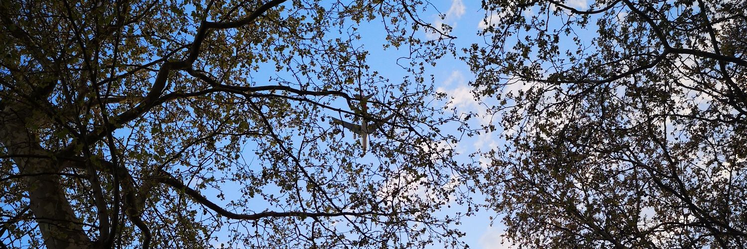 Pablo Fernández banner