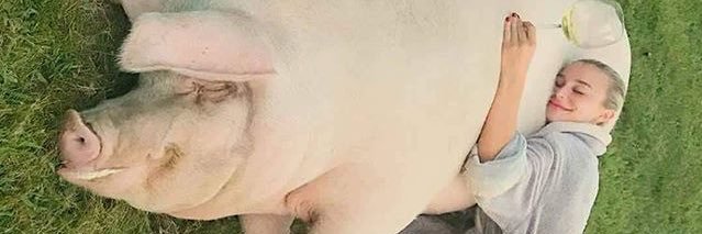 LPossate's profile banner image