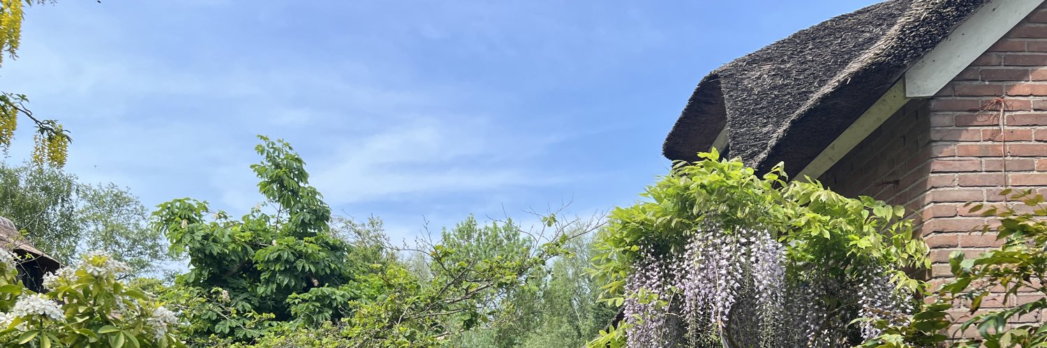 Keyongbio's profile banner image