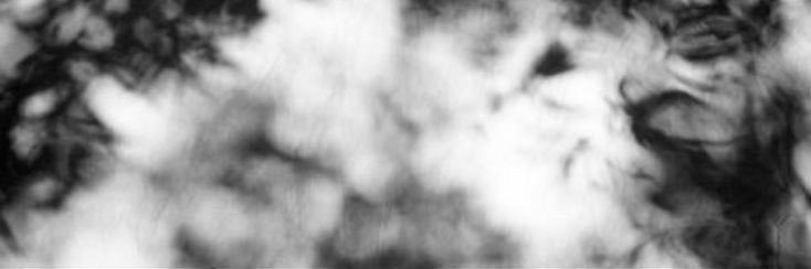 ; banner