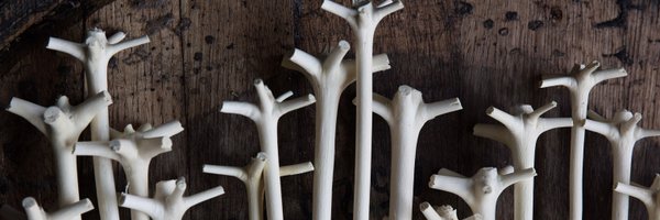 swizzologist Profile Banner