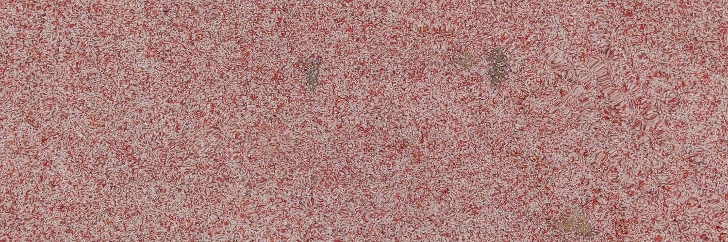 poeyosh's profile banner image