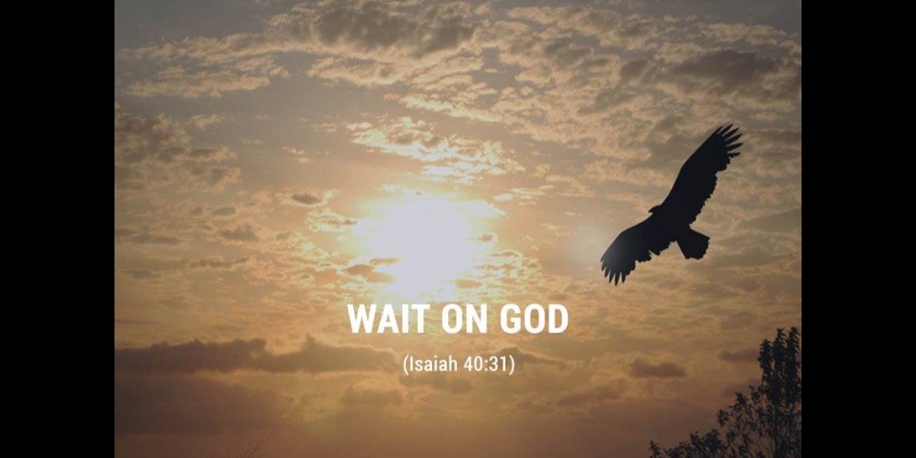 Sandy Averett banner