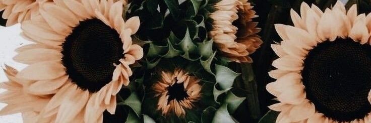 GenesisLugoo's profile banner image