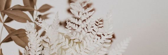 cam_koum's profile banner image