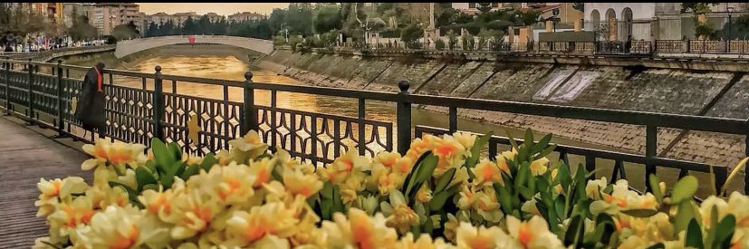 RYncglu's profile banner image