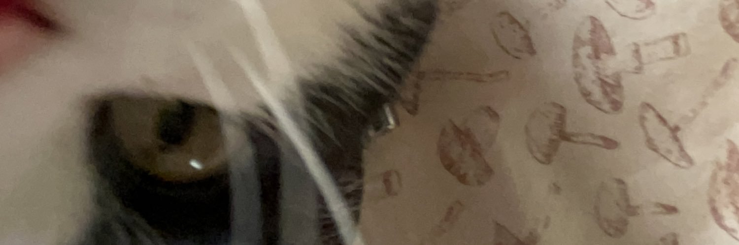 Lilpep_'s profile banner image