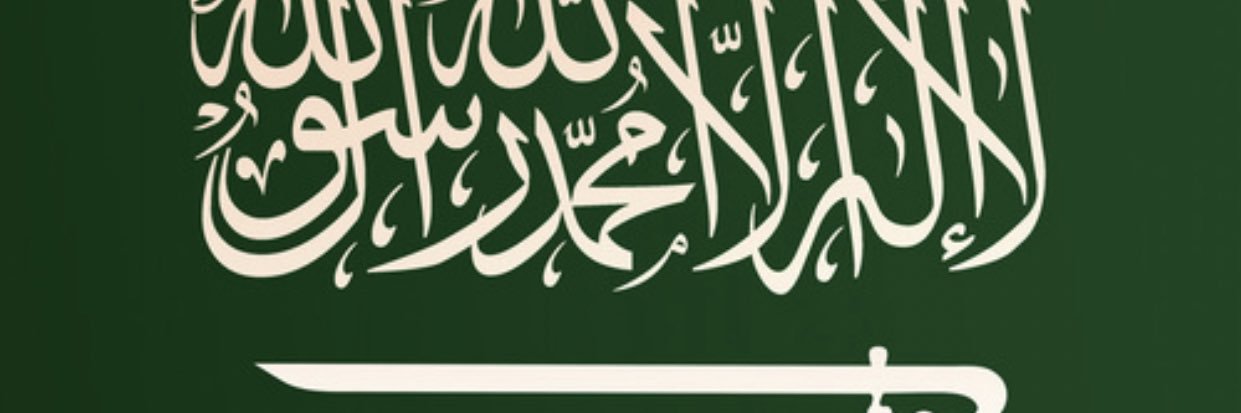 pi_iq1's profile banner image