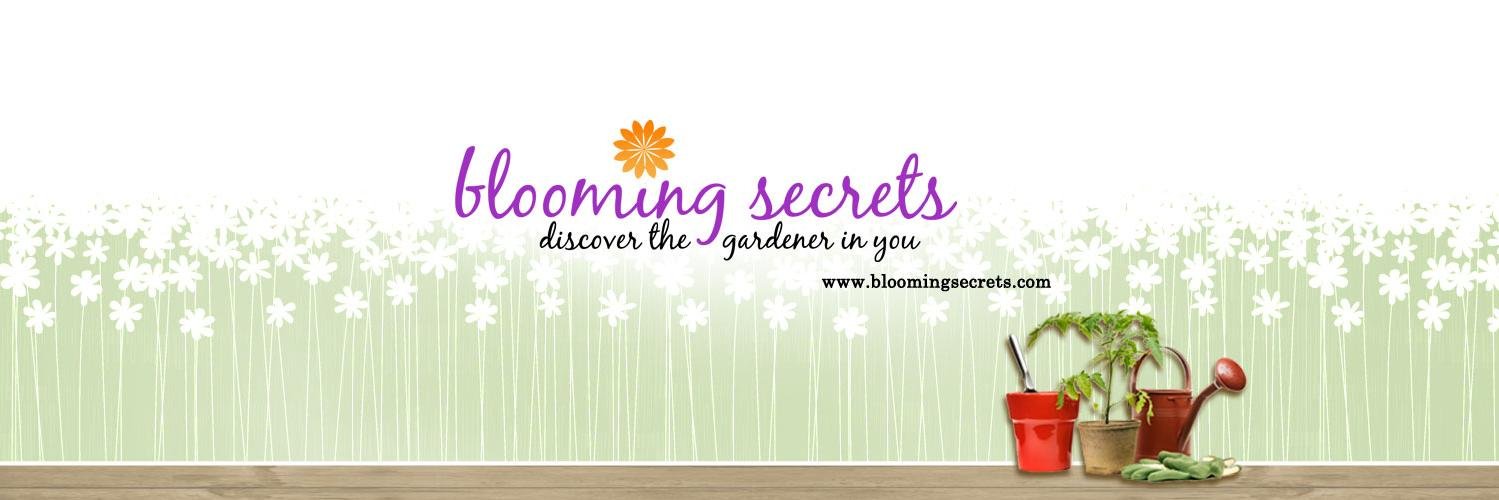 BloomingSecrets banner