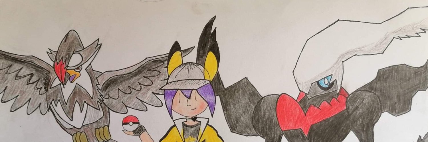 Echo_the_sinnoh_champion⭕️ banner