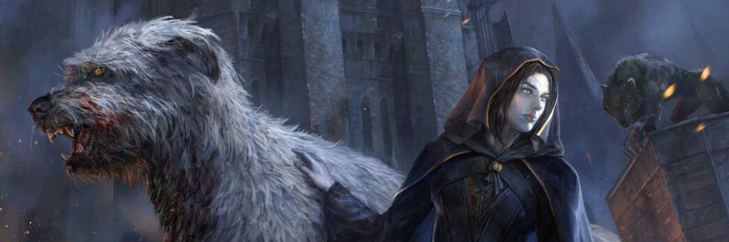 ToWolf14's profile banner image