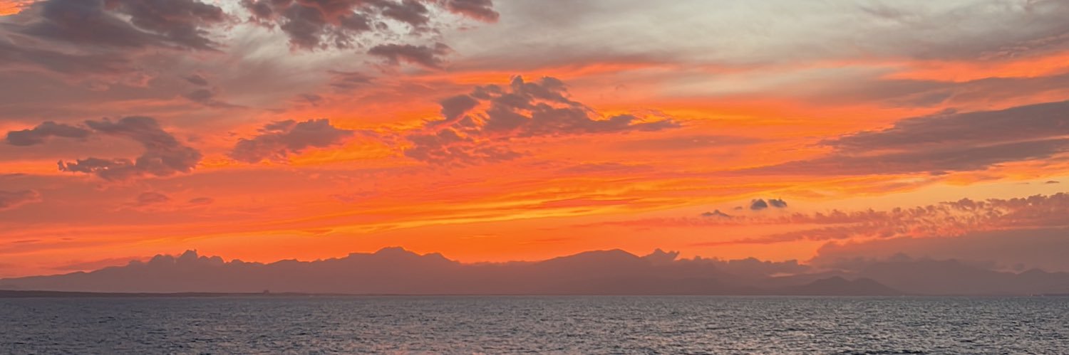 lauritamdh's profile banner image