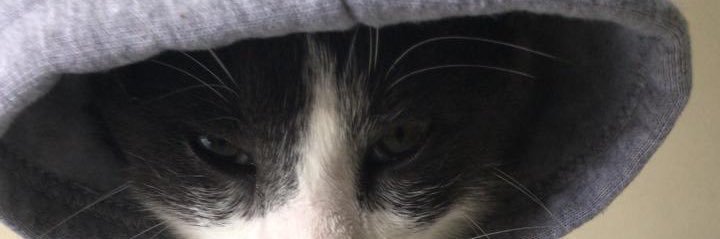 SebastianRCar's profile banner image