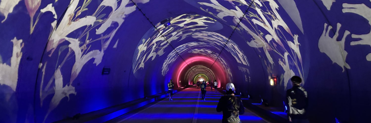 ばこちゃ👻@3/29 ふくい桜🌸 banner