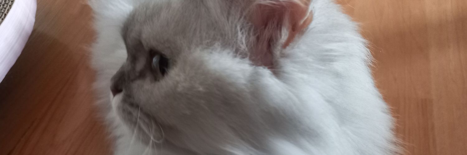 baggwiog3's profile banner image