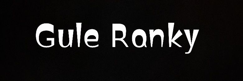 Guleranky_'s profile banner image