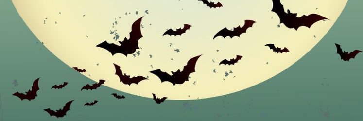 Kitty banner