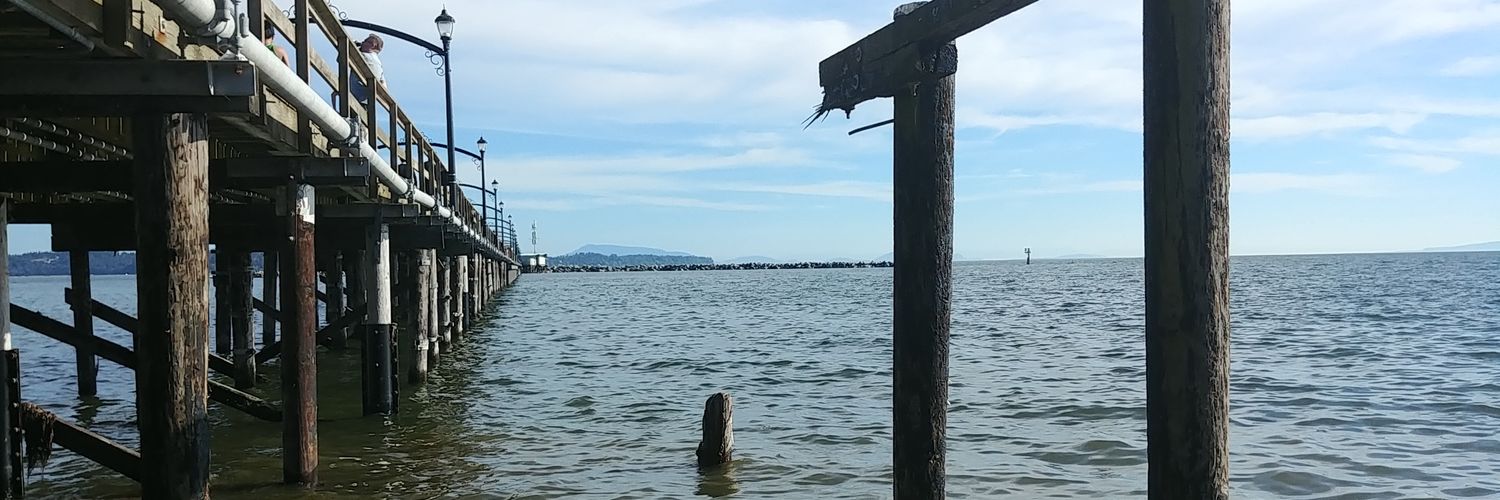 Stephen Loney banner