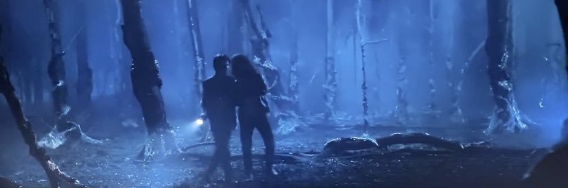 tay | 🍓🌸🤍🍊 banner