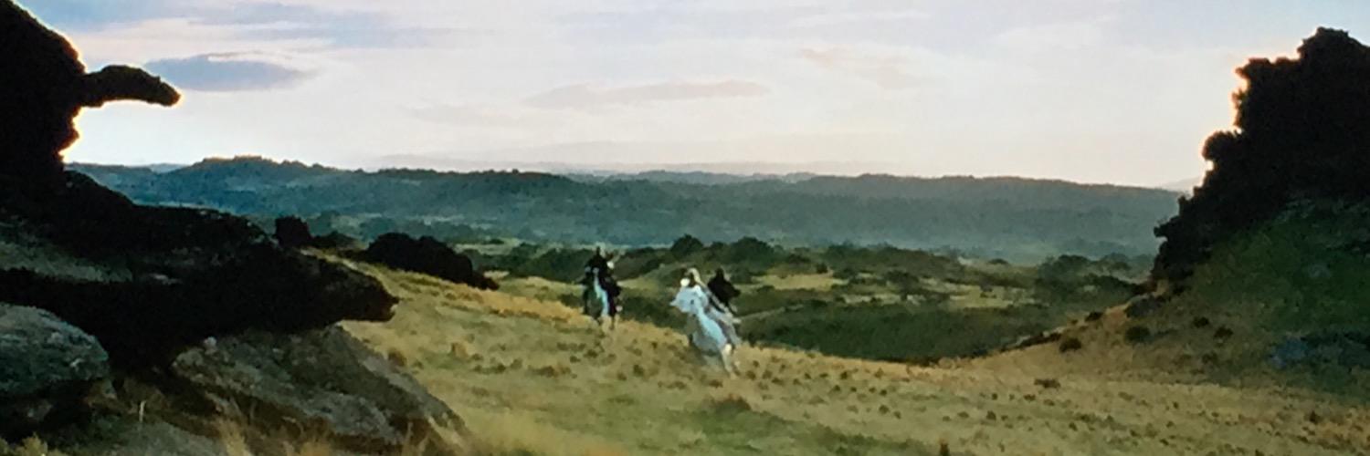 LEsullivan19's profile banner image