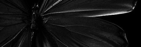 tvittergramma's profile banner image