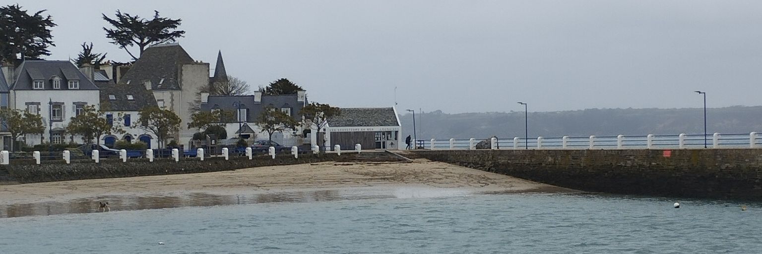 ann geig💙🤍❤️🎗️🎗️🎗️🎗️🎗️ banner