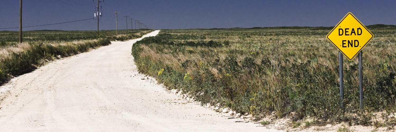 Funny Little Frog banner