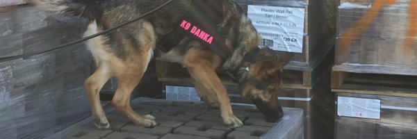 k9danka Profile Banner