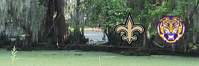 Tim Kolesa 🇺🇸 - O tempora, o mores banner