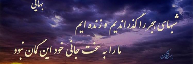 Tina Shahi banner