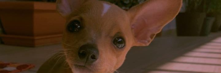 Fabiorozco_'s profile banner image