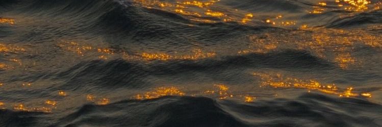 SeeAlrowaisan's profile banner image