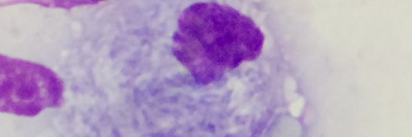 MoradoHemato Profile Banner