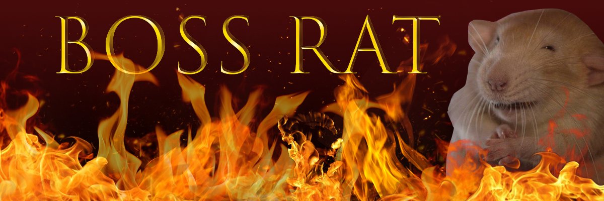 H4zardous's profile banner image