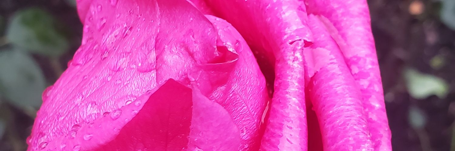 RedLipstickPhilosoph banner
