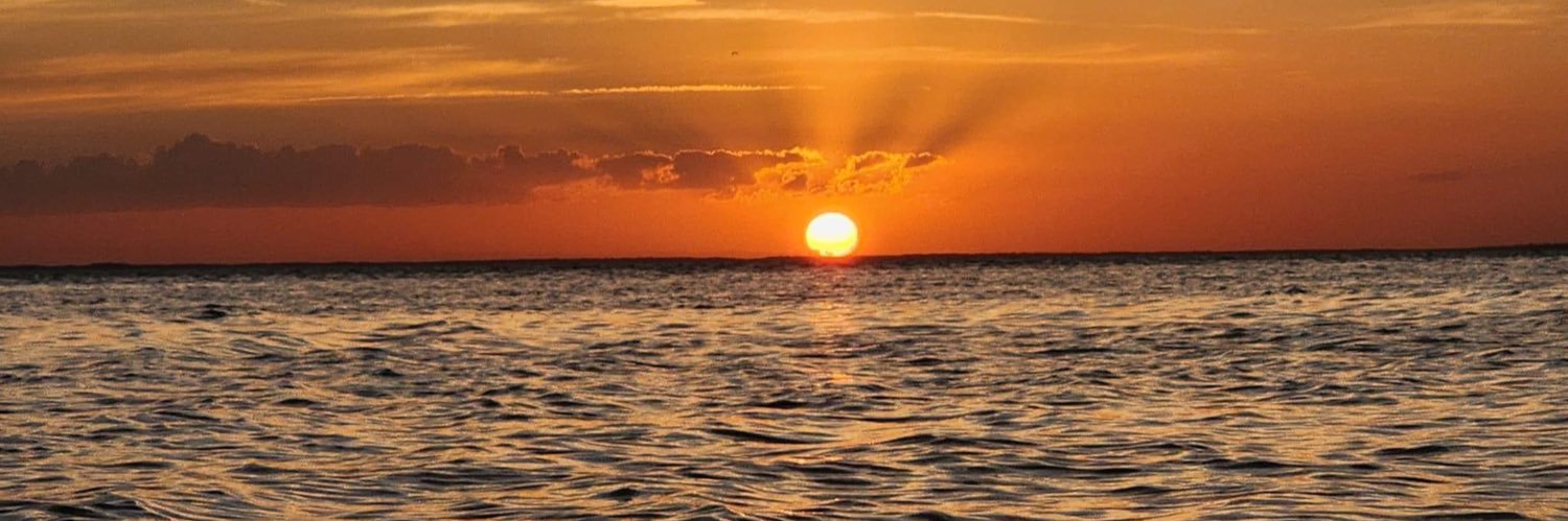lacandonax's profile banner image