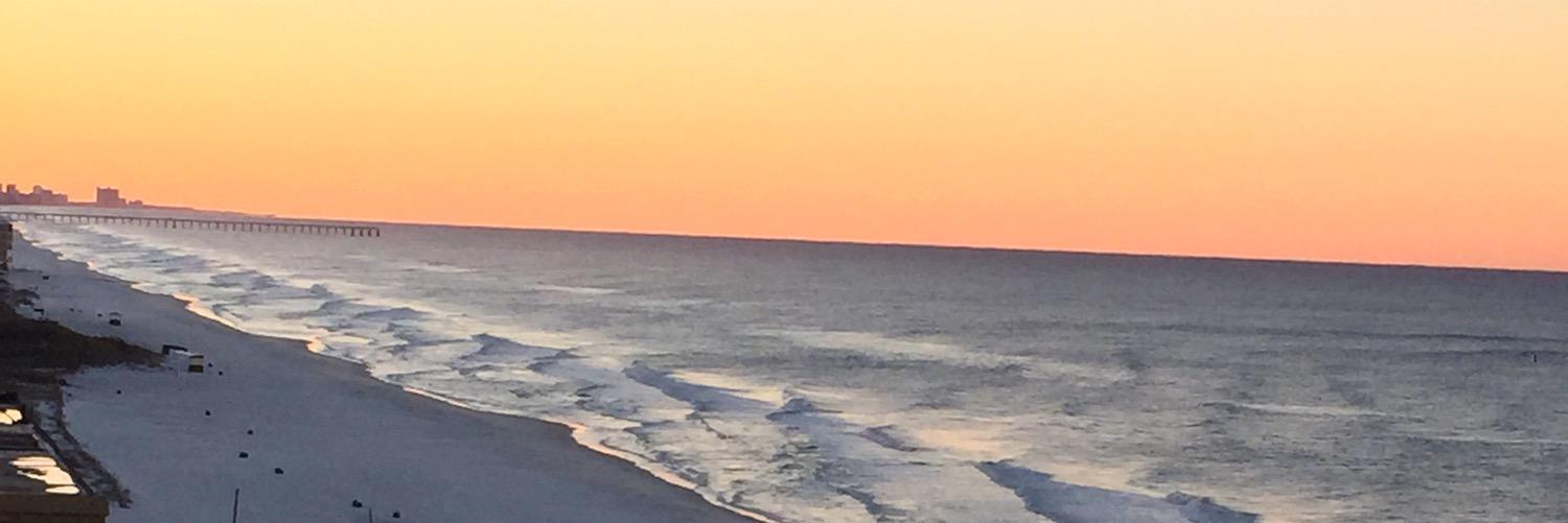 AmyPMullins's profile banner image