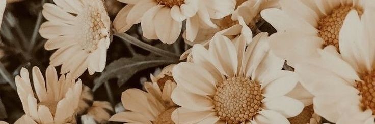 Alesoo_'s profile banner image