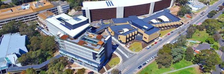 Flinders Vascular Journal Club banner