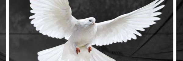 turtlebot_1 Profile Banner