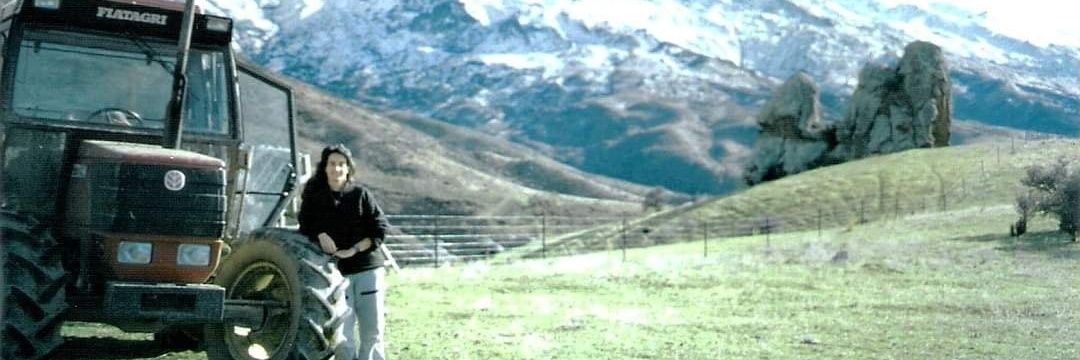 MPessoa 🐶🐑🐑🐑🇬🇸🇧🇷 banner