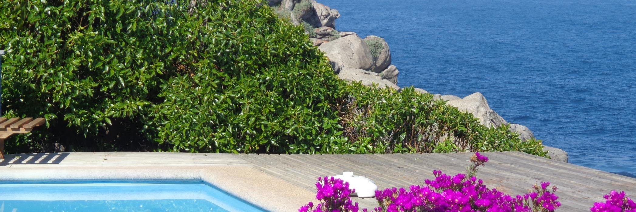 patricio tombolini banner