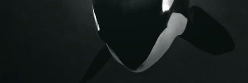 DANPRZA's profile banner image