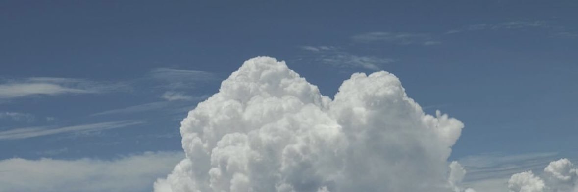 めろん banner