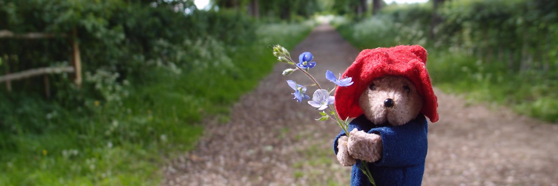 TamsinRobb's profile banner image