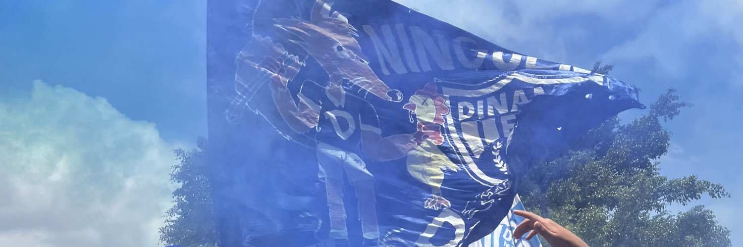 DaviBoaro's profile banner image