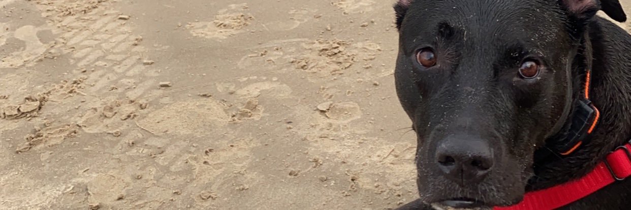 KyleDillon_'s profile banner image