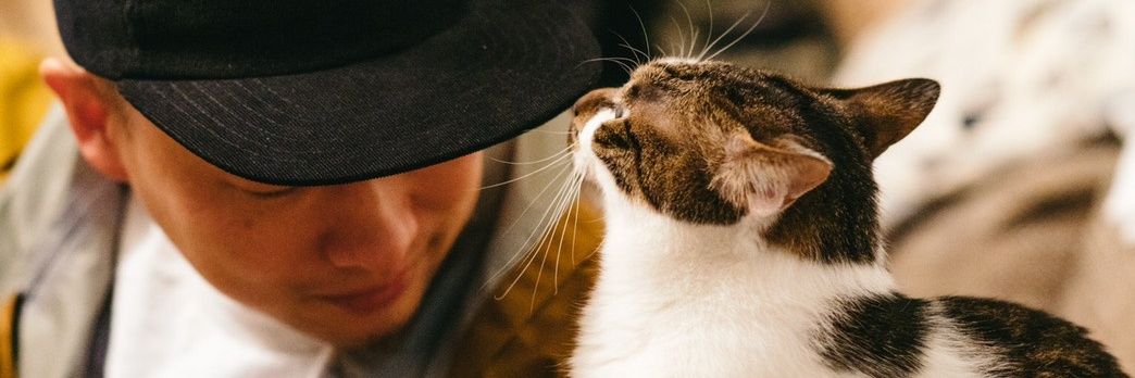 hanameganeeee's profile banner image