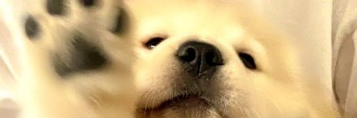 ♡ = follow back 𓈒 ⋆ ✿̵ ཾ 𓈒ลิมิต banner