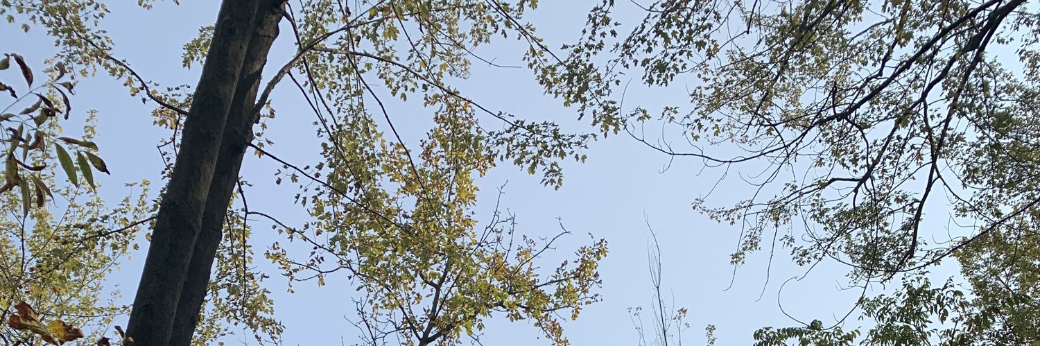 Jessica Killips banner